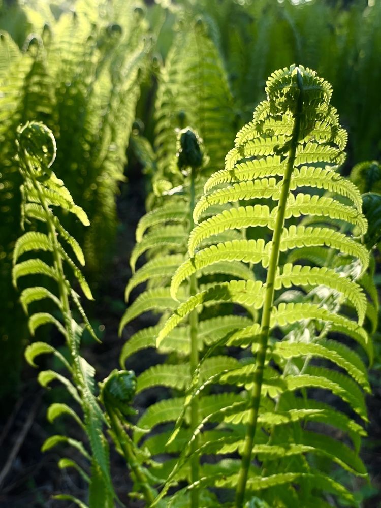 Photograph by Светлана Петренко