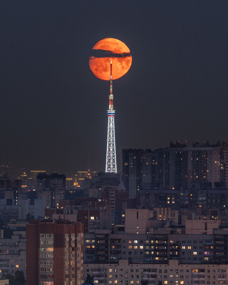 Photograph by Михаил Азаров