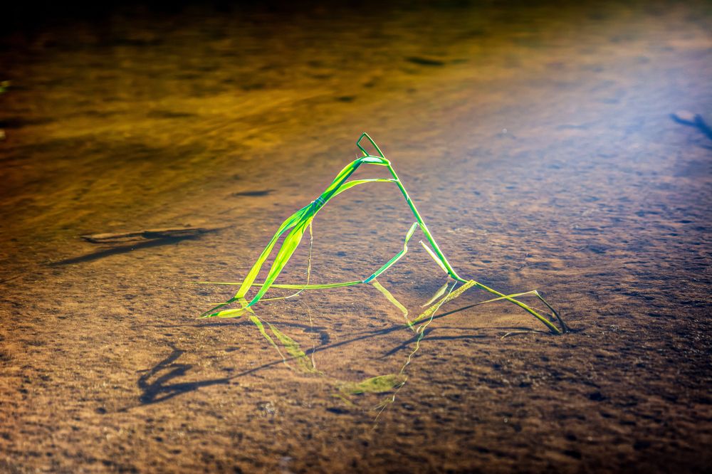 Photograph by Светлана Ващенко