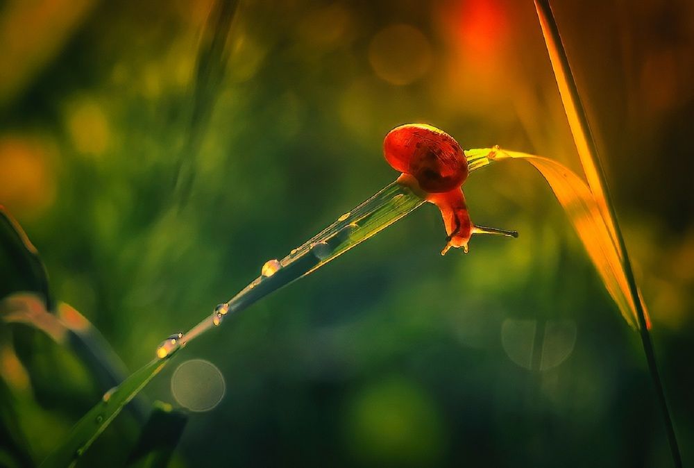 Photograph by Владимир