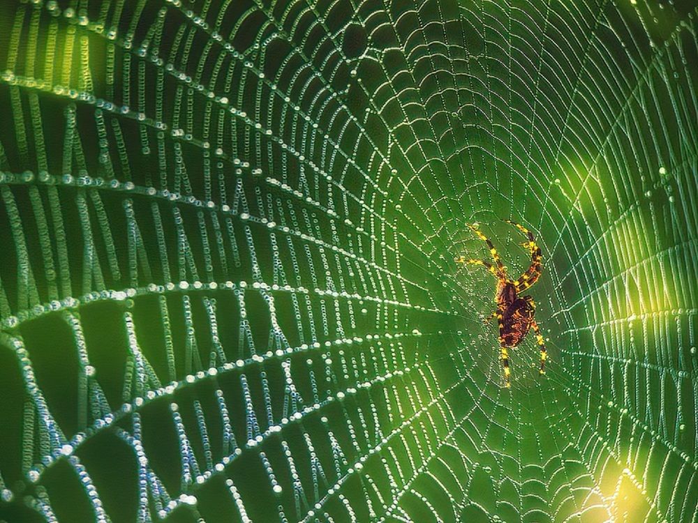 Photograph by Владимир