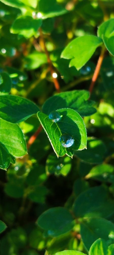 Photograph by Любовь Макарова