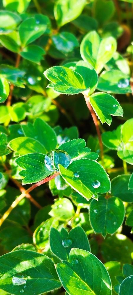 Photograph by Любовь Макарова