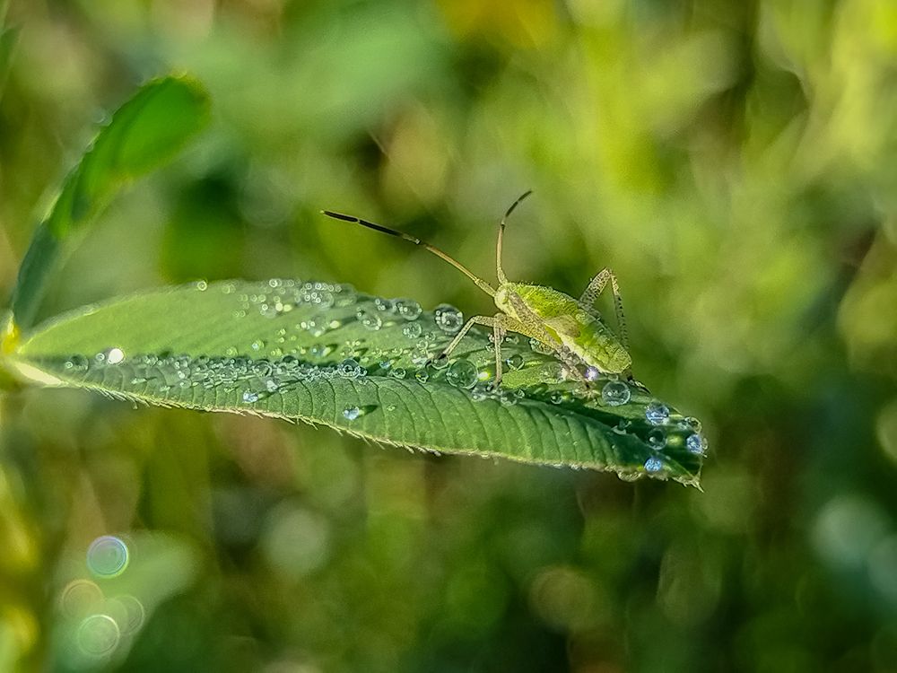 Photograph by Елена Павлова