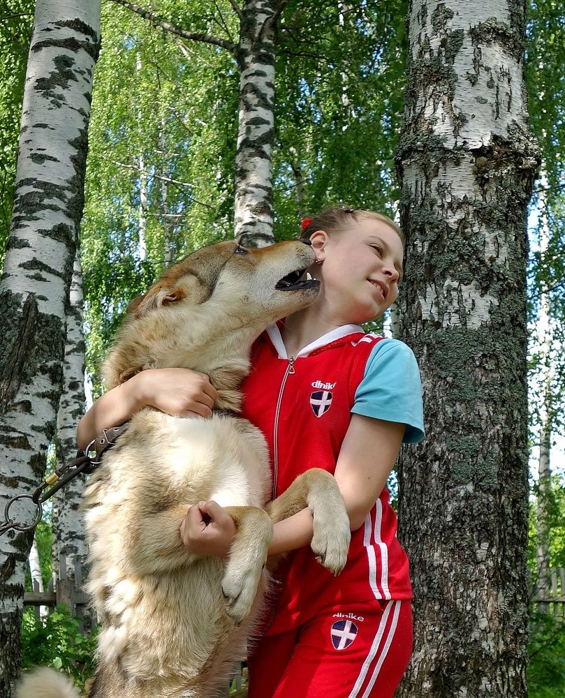 Photograph by Виктор Решетников