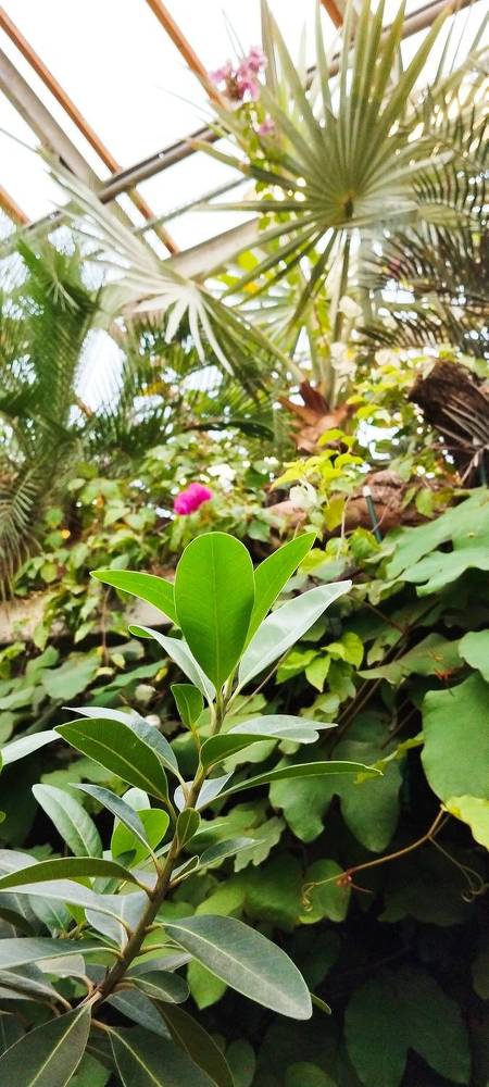 Photograph by Любовь Макарова