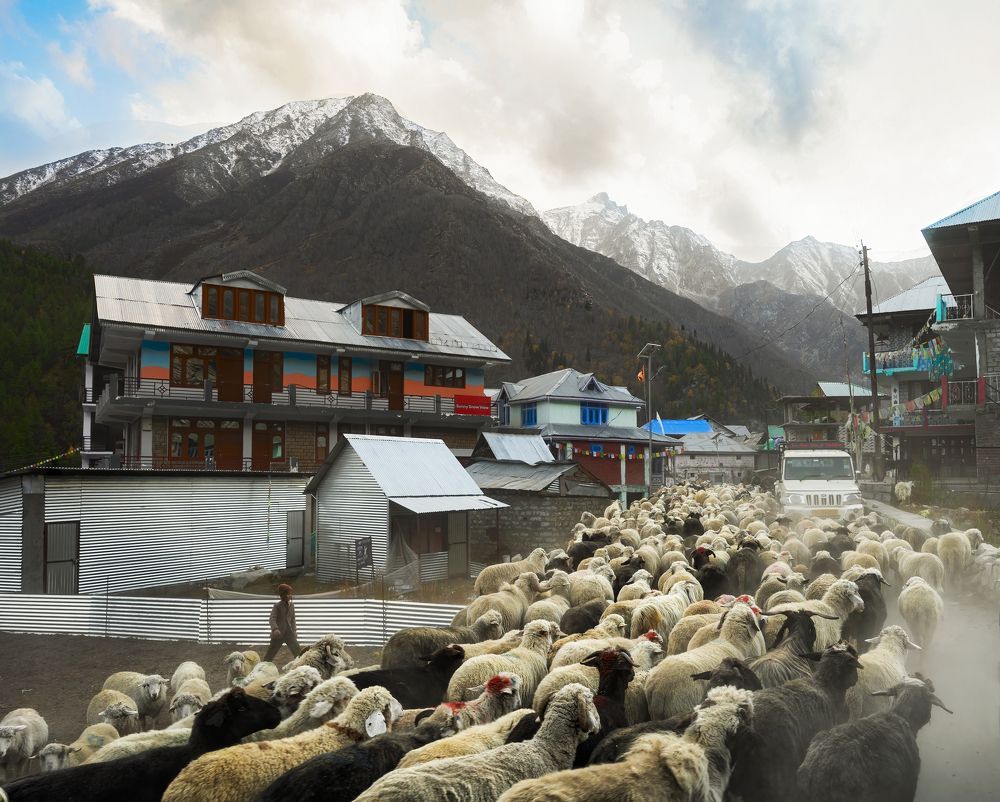 Photograph by Shampa Bhowmik