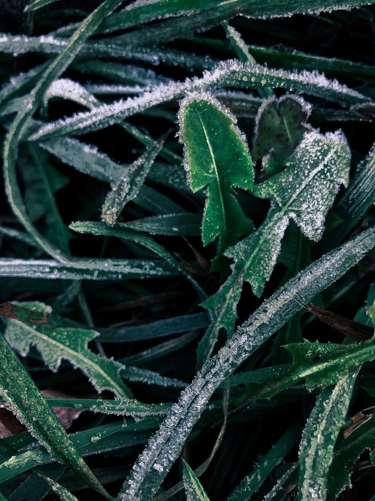 Photograph by Мария Карпычева