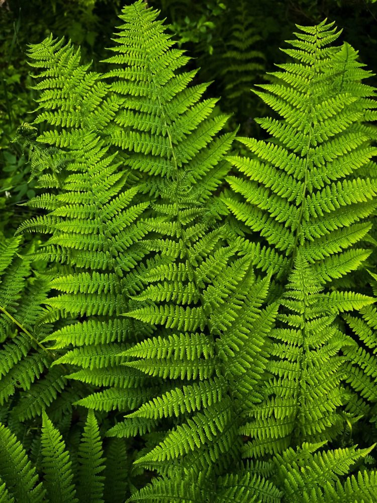 Photograph by Екатерина Одинцова