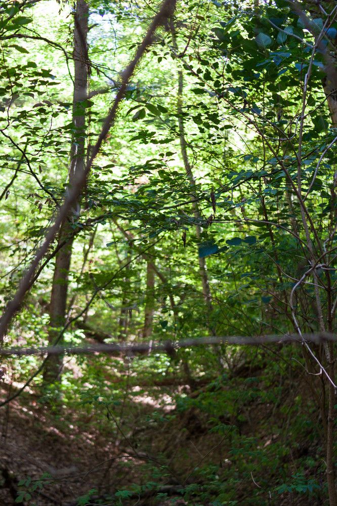 Photograph by Елена Казаренко