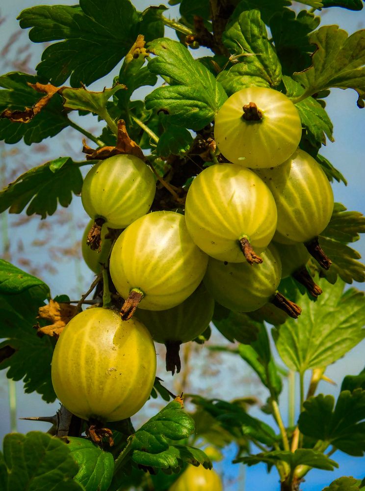 Photograph by Олеся Бронзова