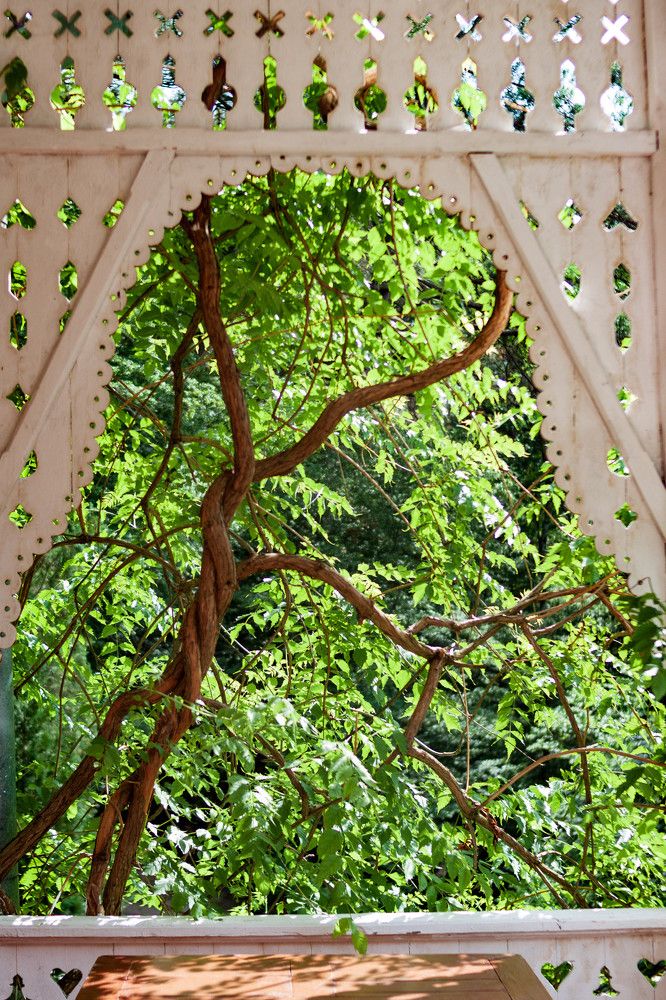 Photograph by Елена Казаренко