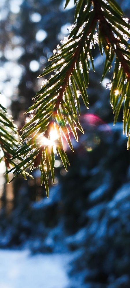 Photograph by Любовь Макарова