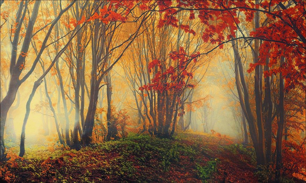 Photograph by Владимир