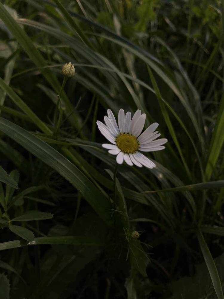 Photograph by Мария Карпычева