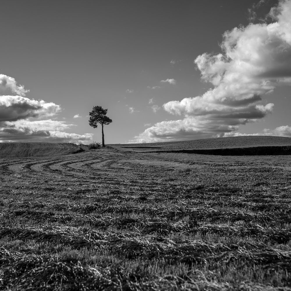 Photograph by Tomasz Dunajski