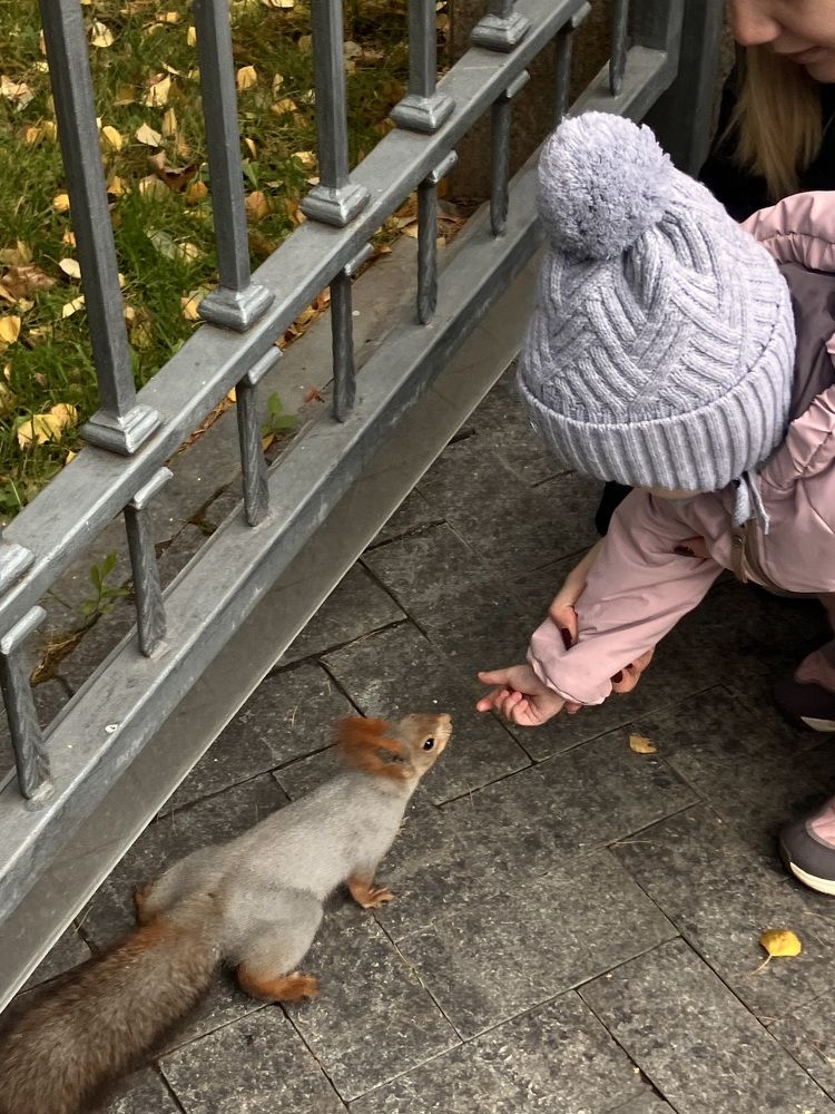 Photograph by Мария Карпычева