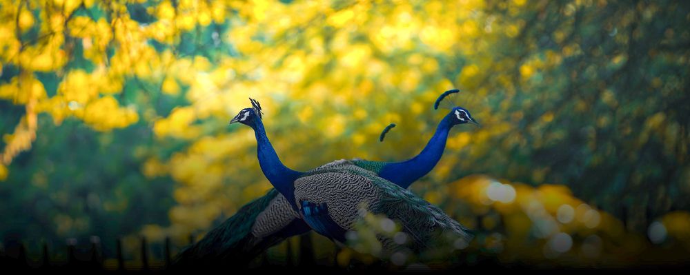 Photograph by Amit Kumar