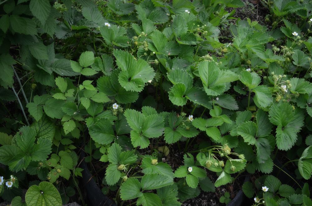 Photograph by Екатерина Горай