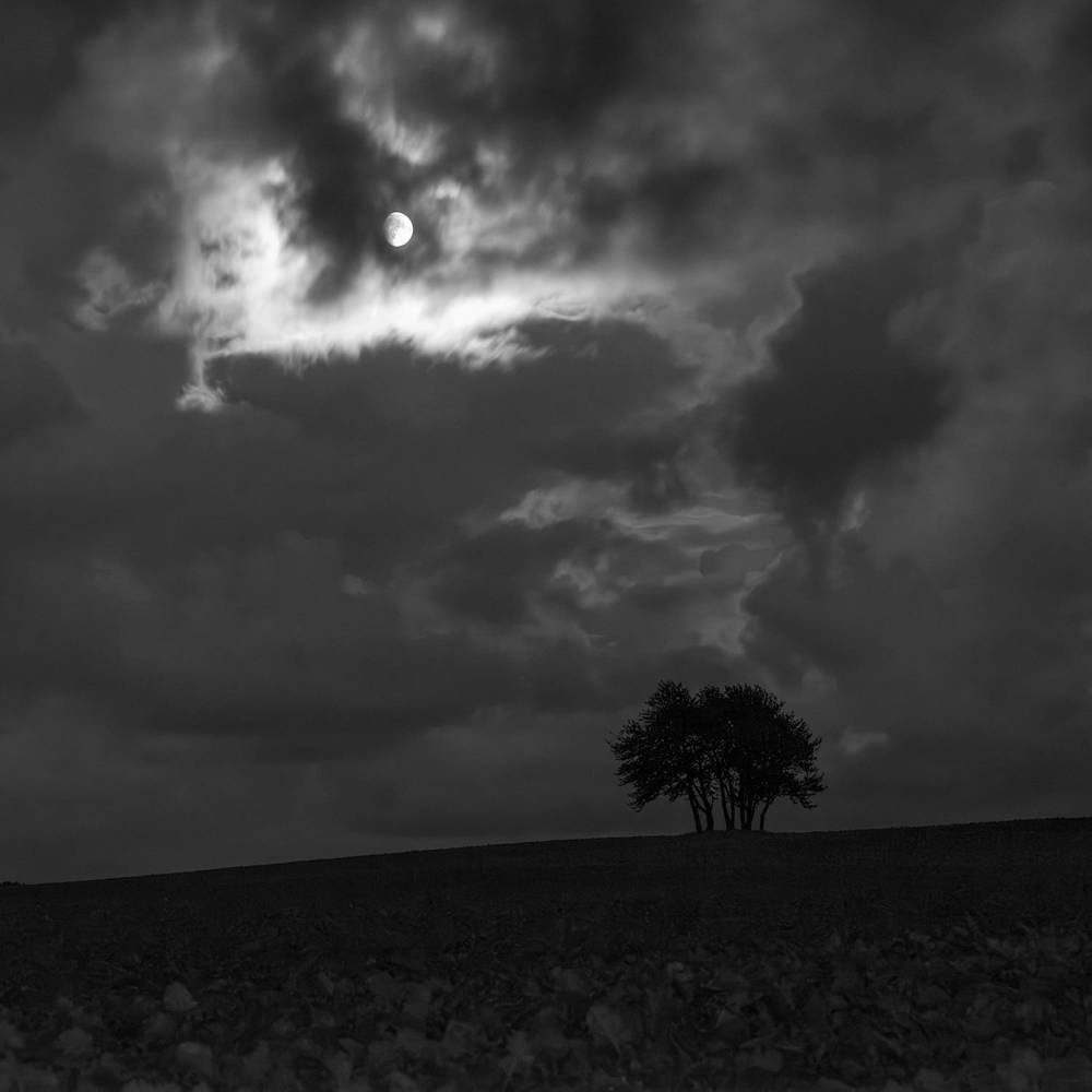 Photograph by Tomasz Dunajski