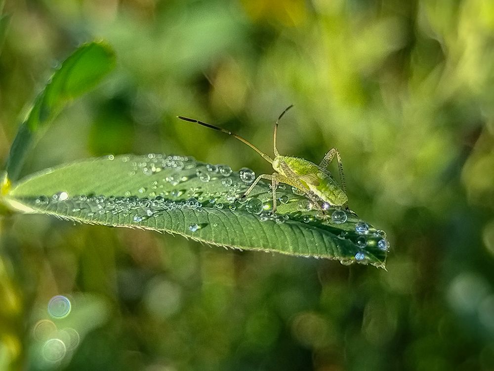 Photograph by Елена Павлова