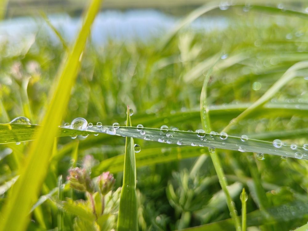 Photograph by Елена Павлова