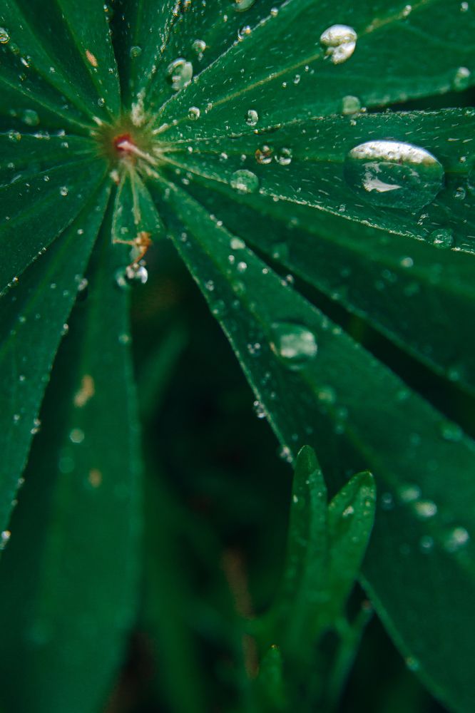 Photograph by Мария Федорова