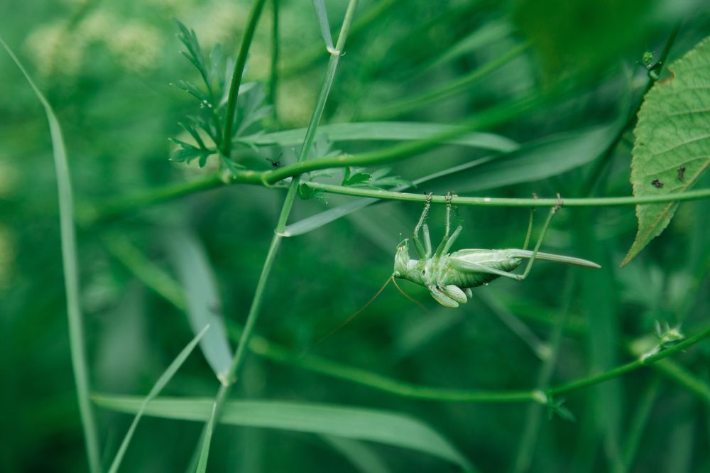 Photograph by Мария Федорова