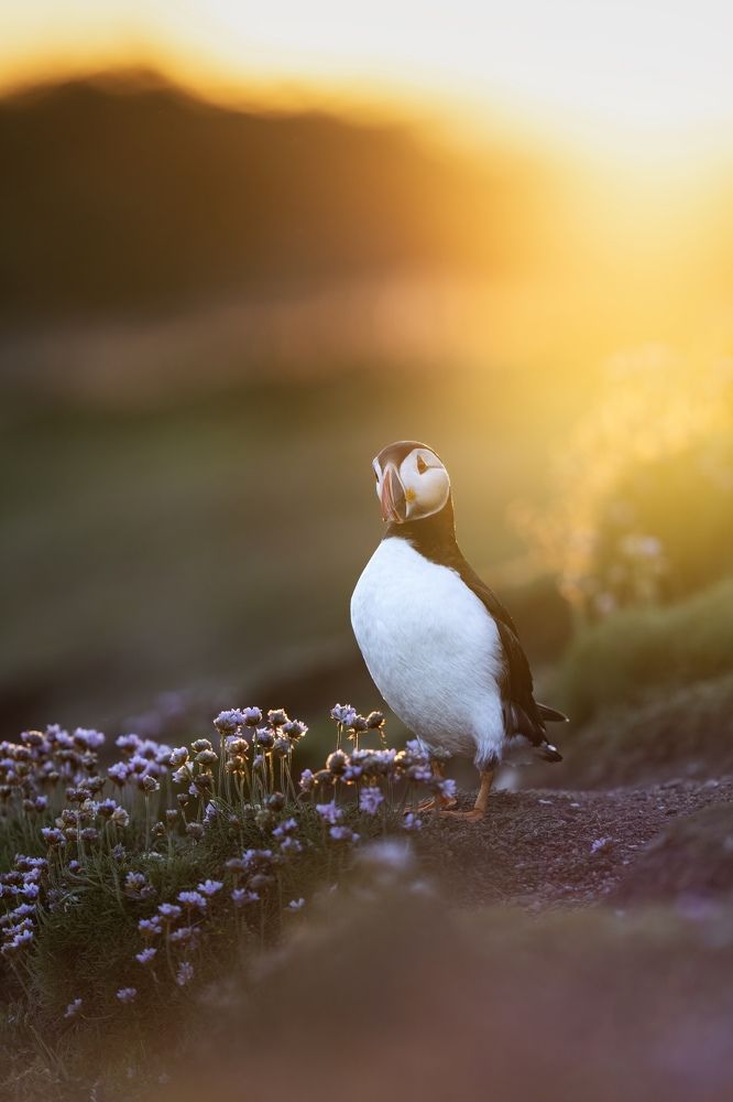 Photograph by Merche Llobera