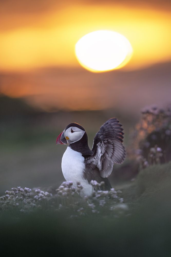 Photograph by Merche Llobera