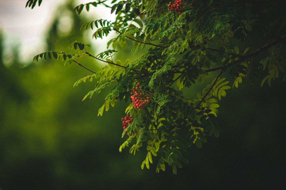 Photograph by Евгений Авдеев