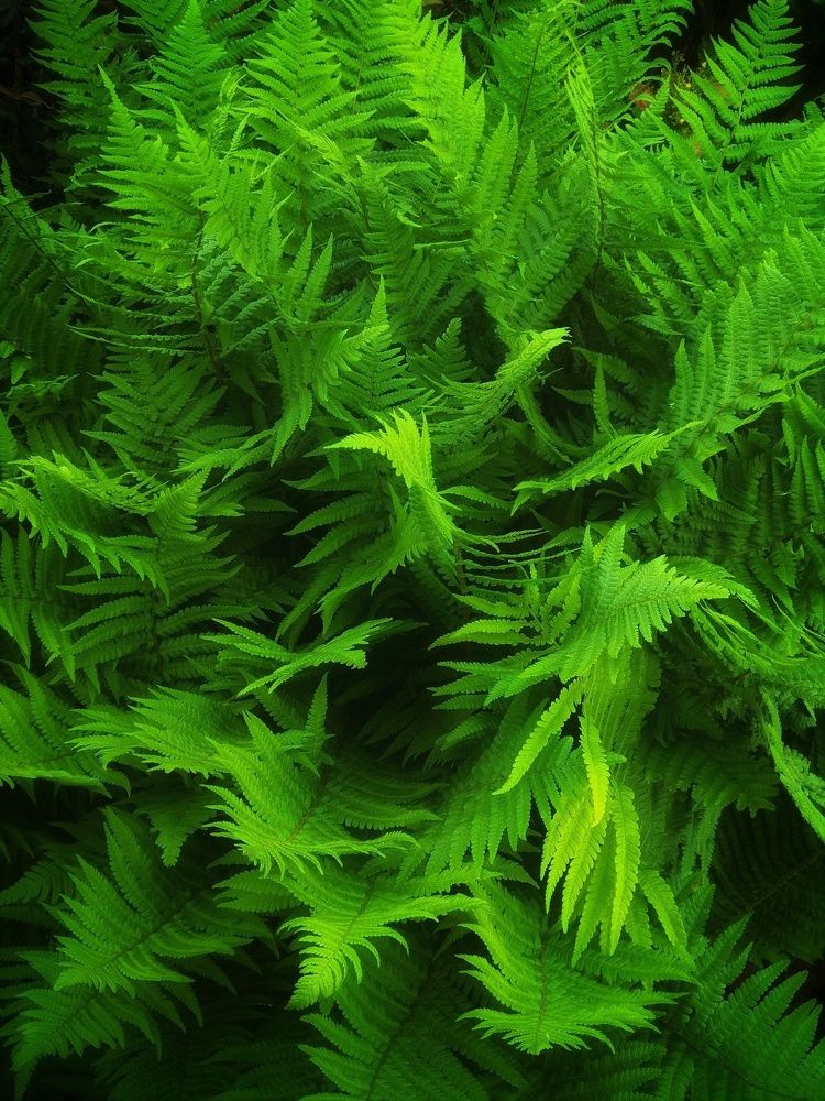 Photograph by Анна Богданова