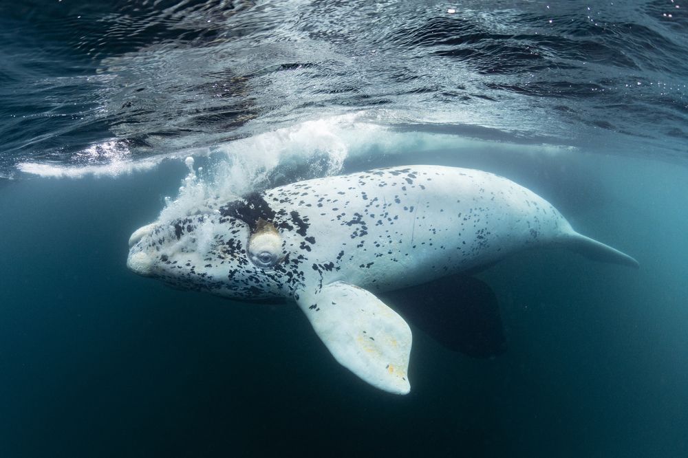 Photograph by Merche Llobera