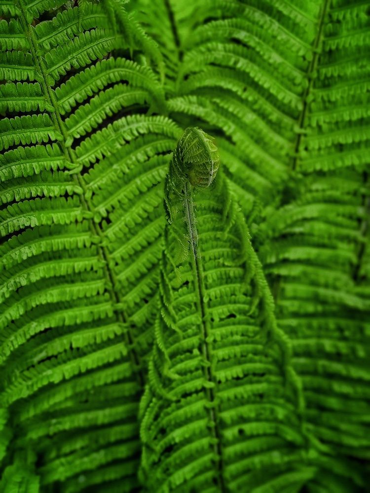 Photograph by Анна Богданова