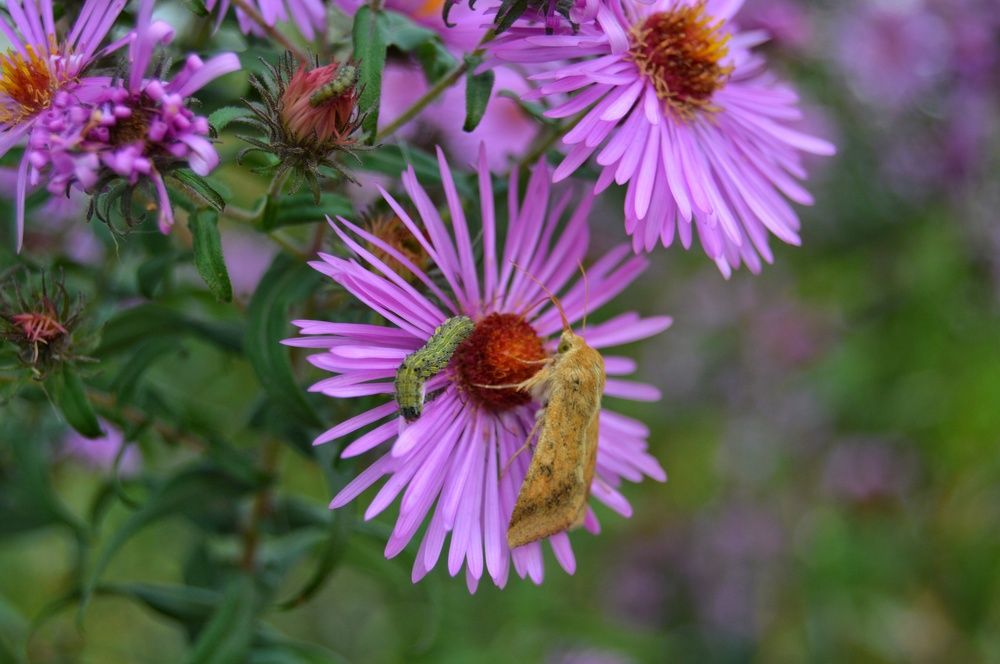 Photograph by Анна Богданова