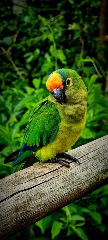 Photograph by Gr Marie