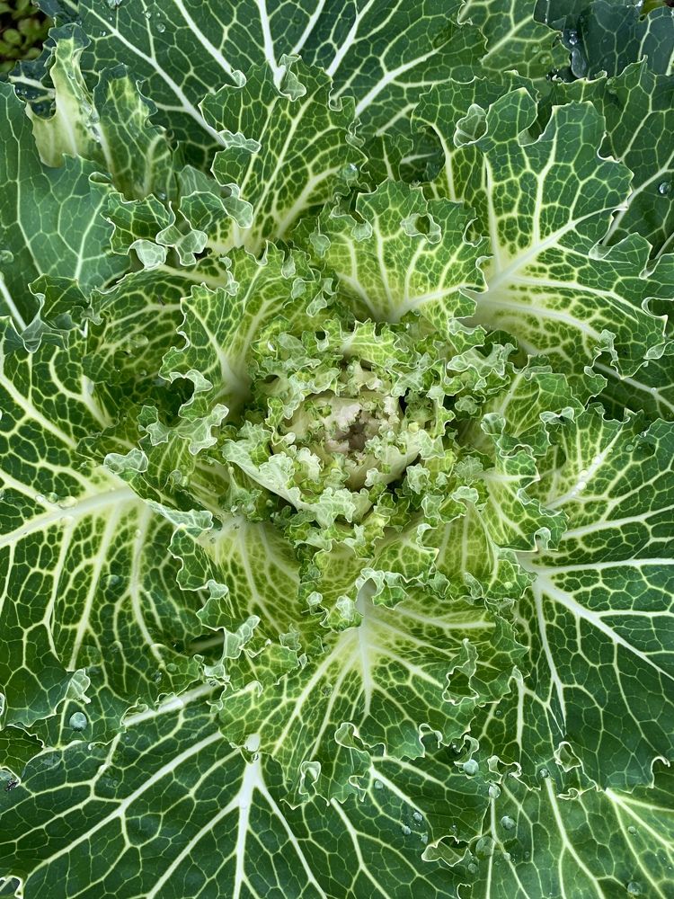 Photograph by Елена Смирнова