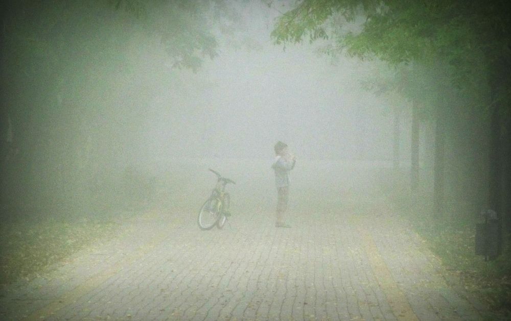 Photograph by Анастасия