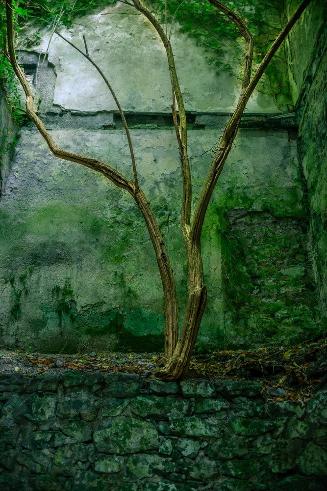 Photograph by Marcin Bochenek