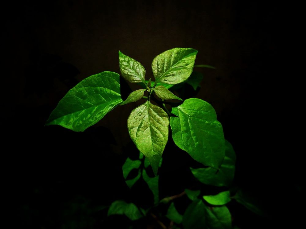 Photograph by WEI LOON LIM