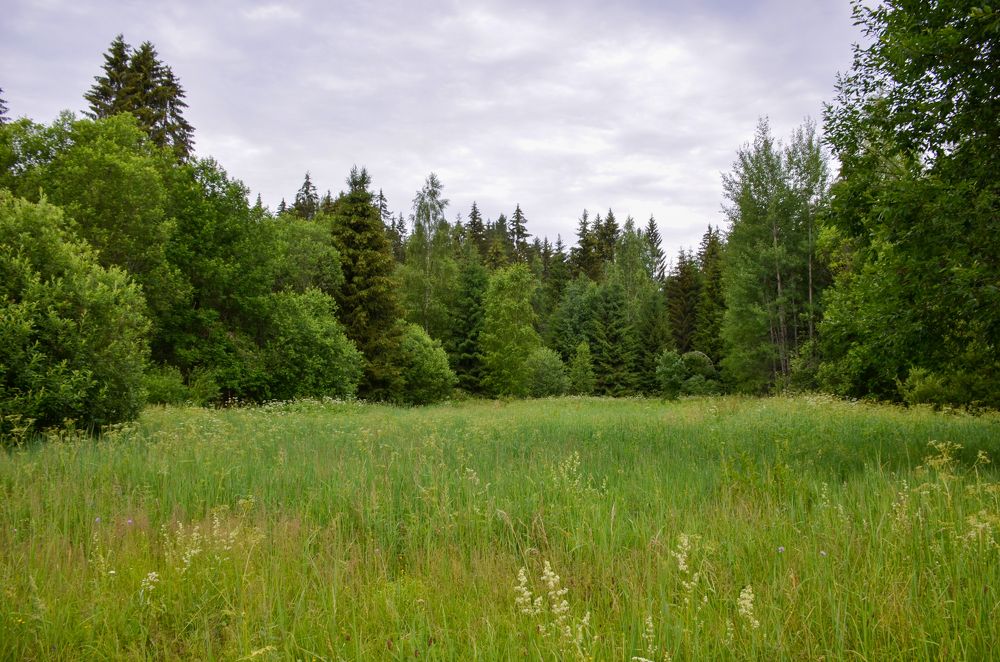 Photograph by Николай Соколовский