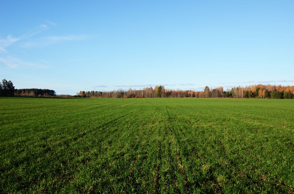 Photograph by Николай Соколовский