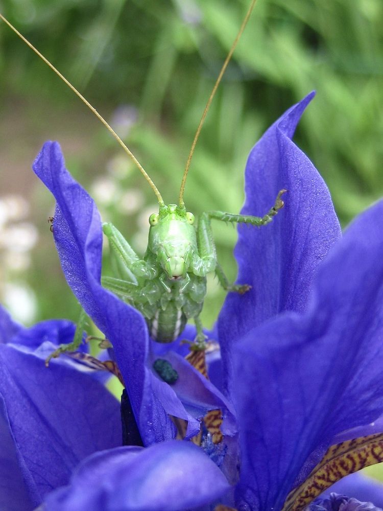 Photograph by Елена Смирнова