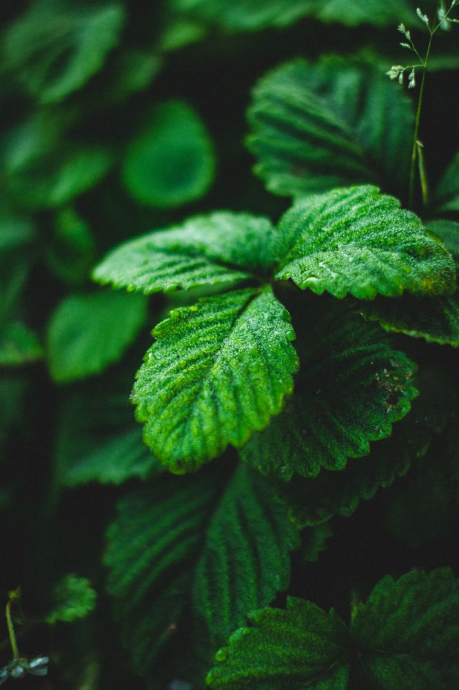 Photograph by Евгений Авдеев