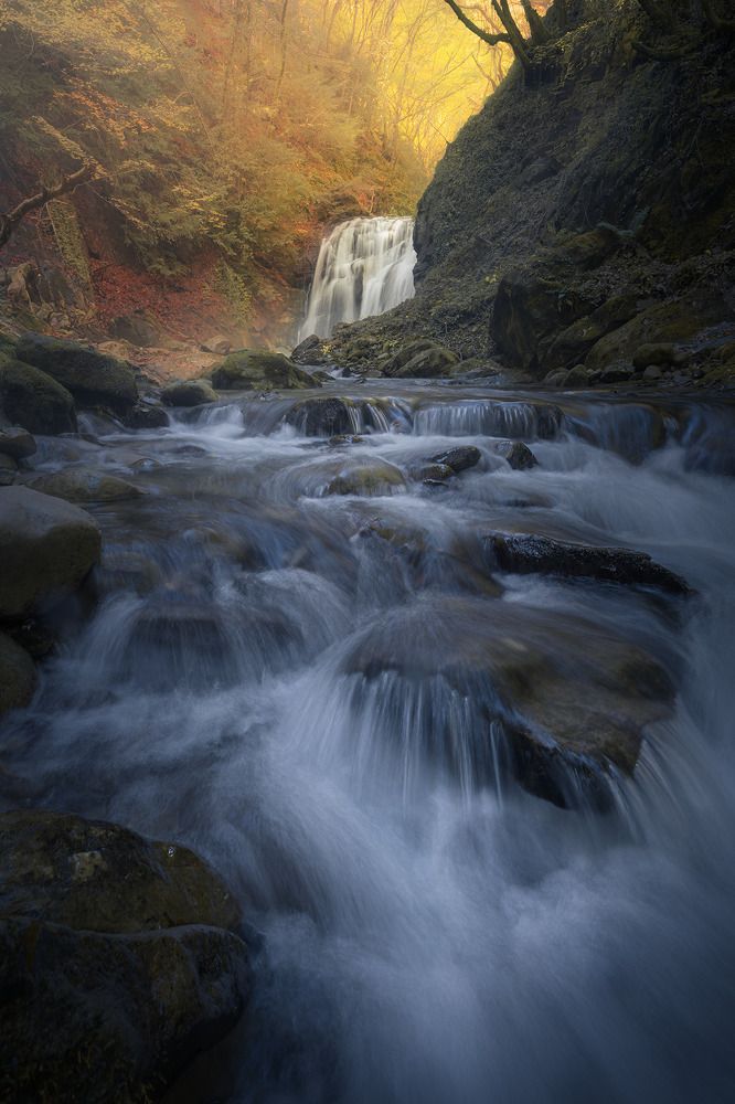 Фотография автора Andrea Bartoli