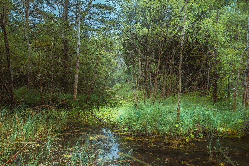 Photograph by Marcin Bochenek