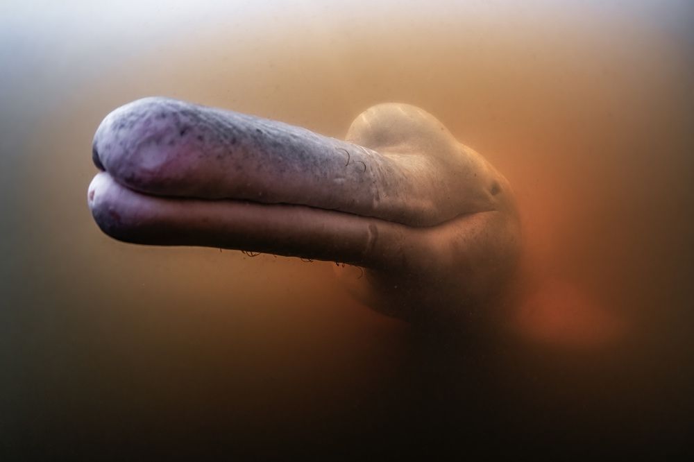 Photograph by Merche Llobera