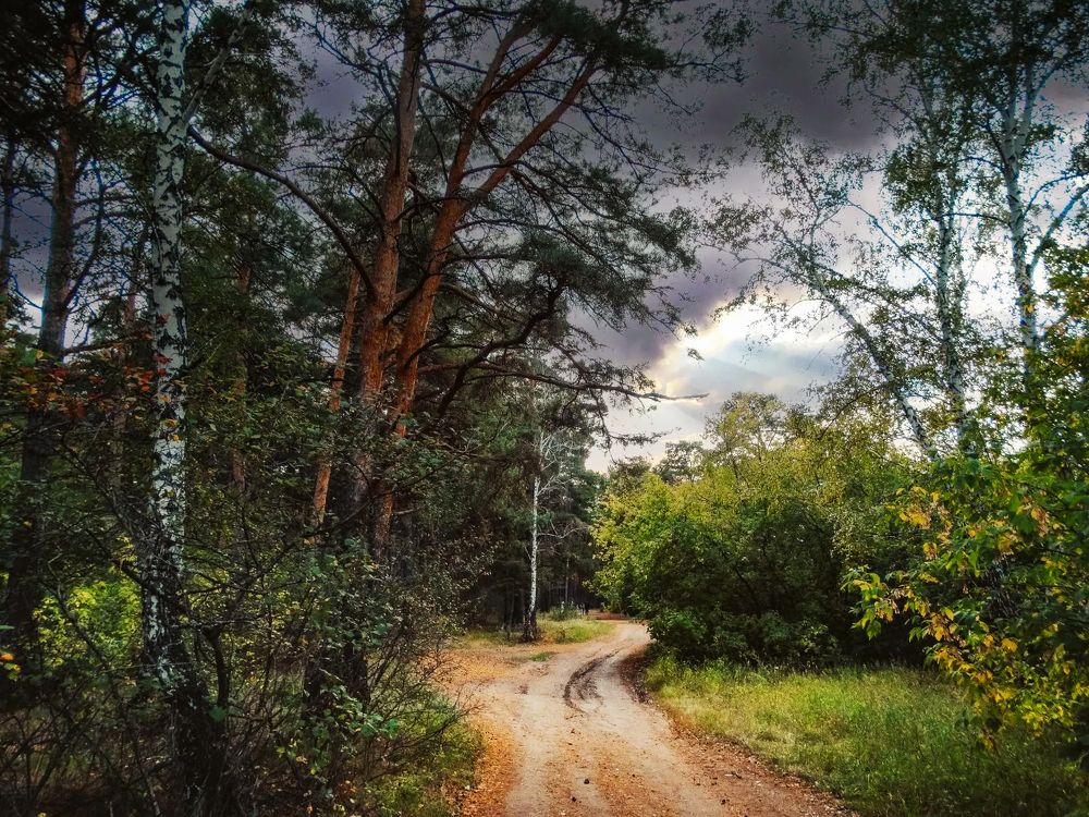 Photograph by Анжелика Трошина