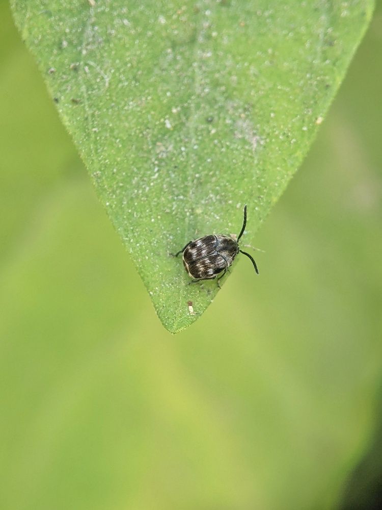 Photograph by Sai Krishna