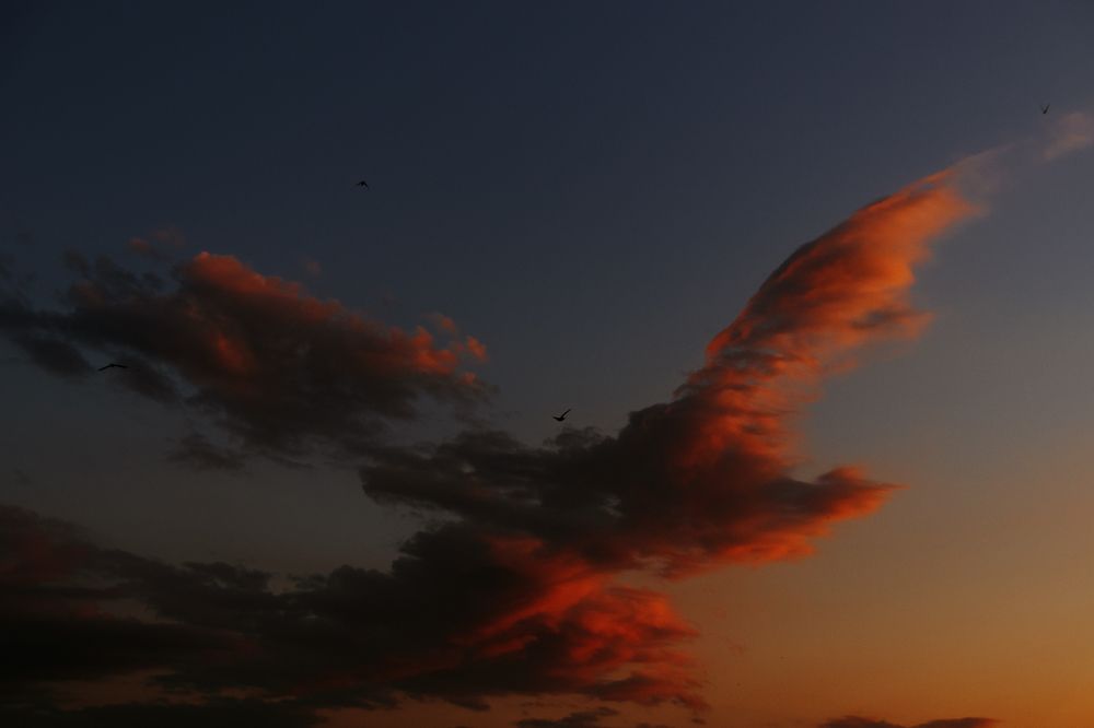 Photograph by Сергей Удовиченко